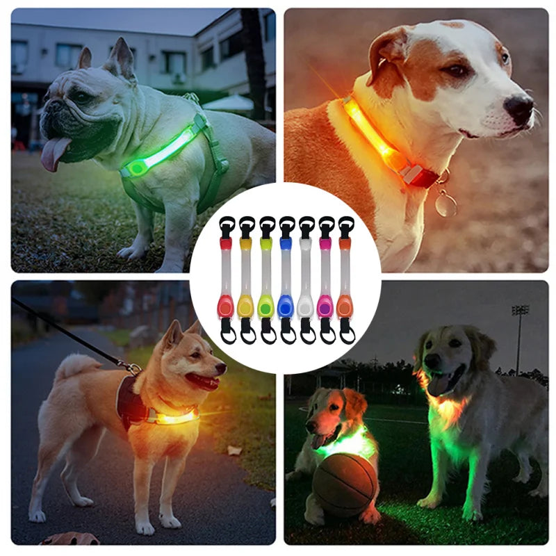 Valopanta Koiralle – LED | 6 Väriä | Jatkuva & Vilkkuva | CR2032 Mukana | 25,5 cm | Turvallinen Ulkoilu